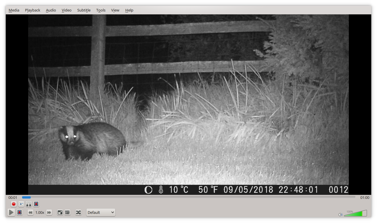 The badger's back...

I still can't make up my mind whether this is the interesting sort of thing you see when you live in a rural area, or whether it's a hedgehog eating predator who needs to be kept out at all costs.